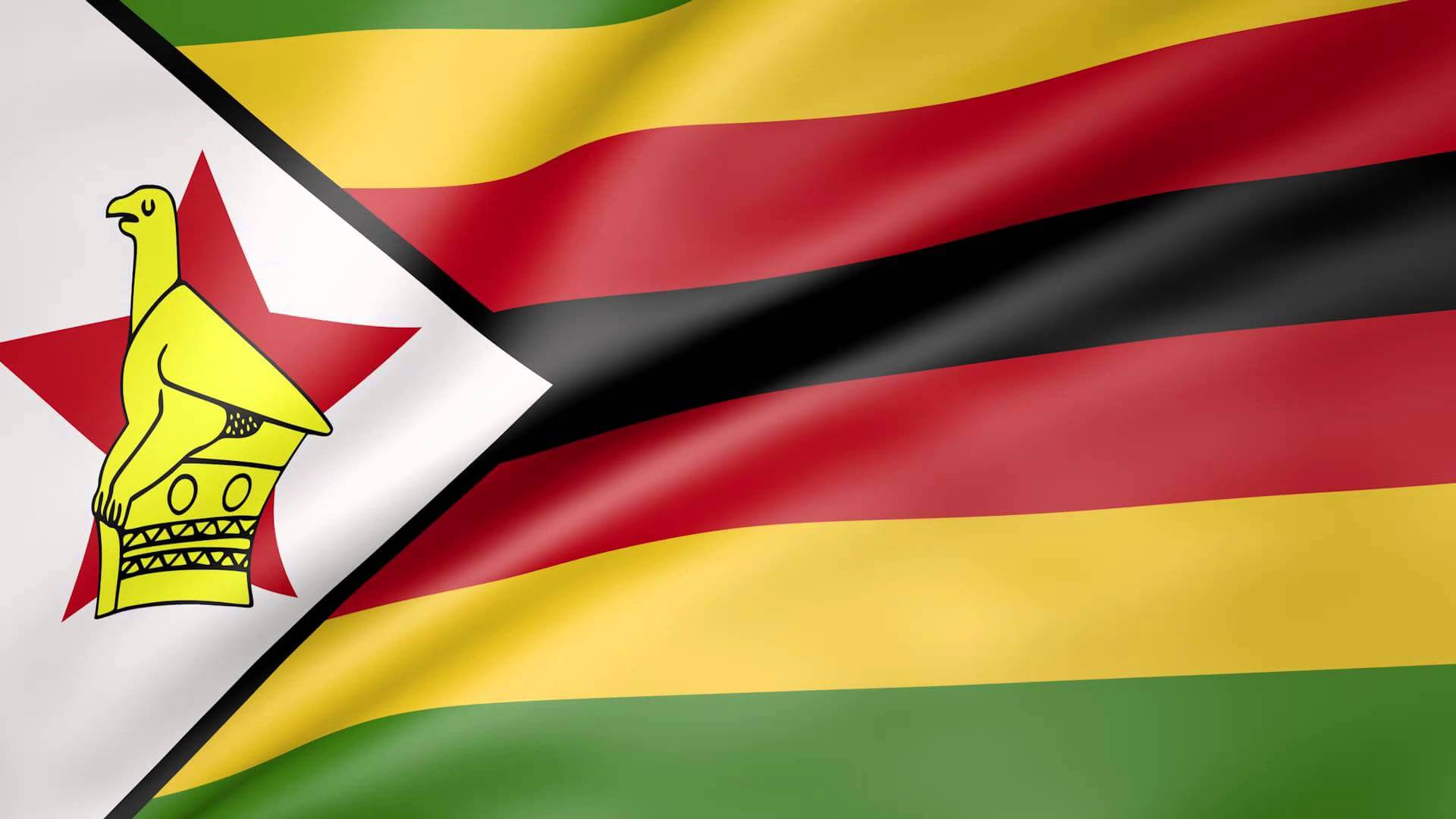 ZIMBABWE flag